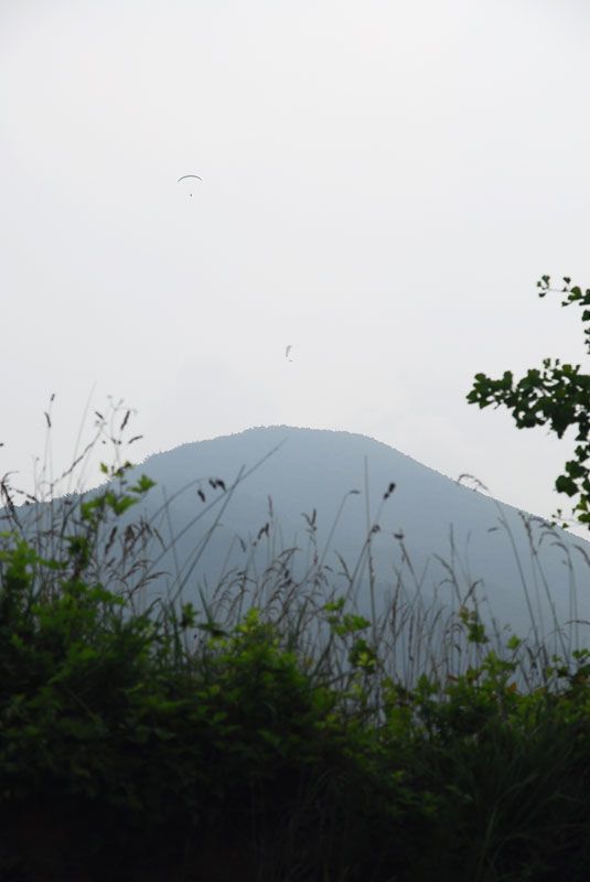DSC_0205.jpg