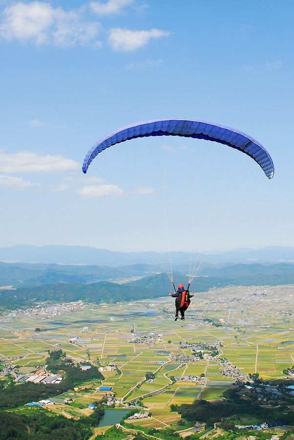 D10_0176.jpg