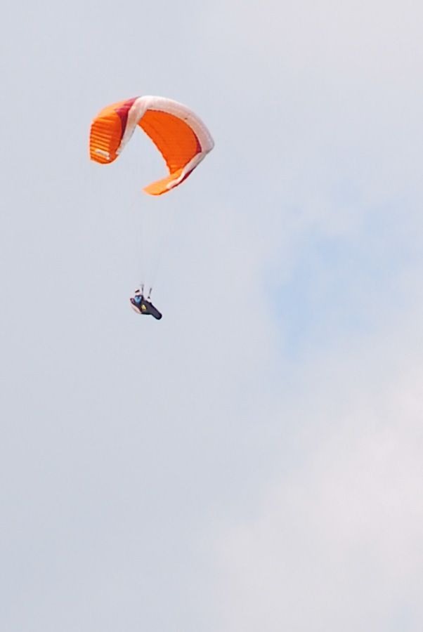 D10_0174.jpg