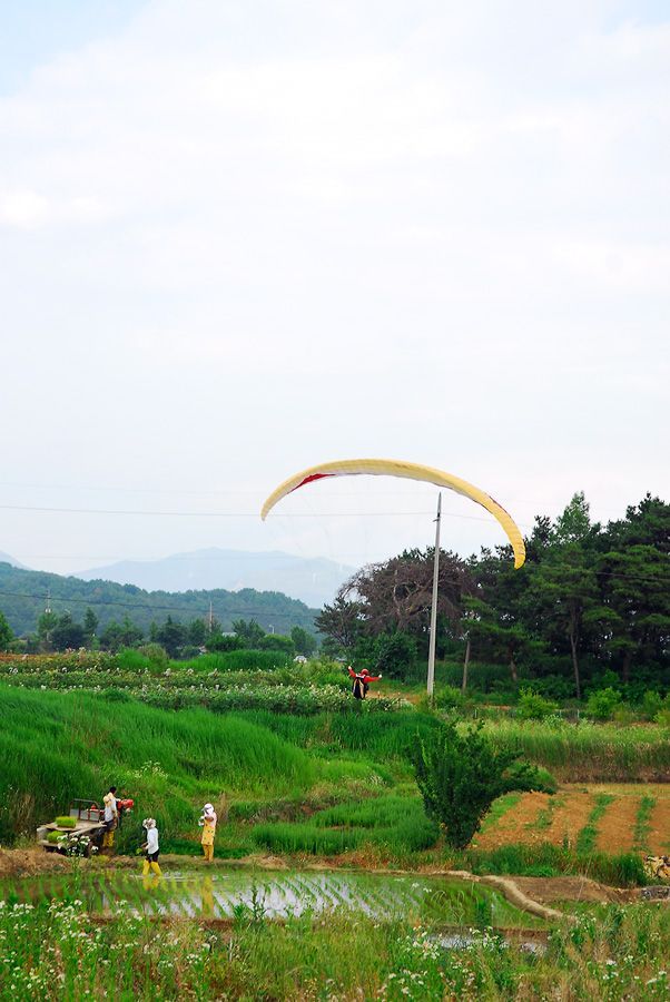 D10_0142.jpg