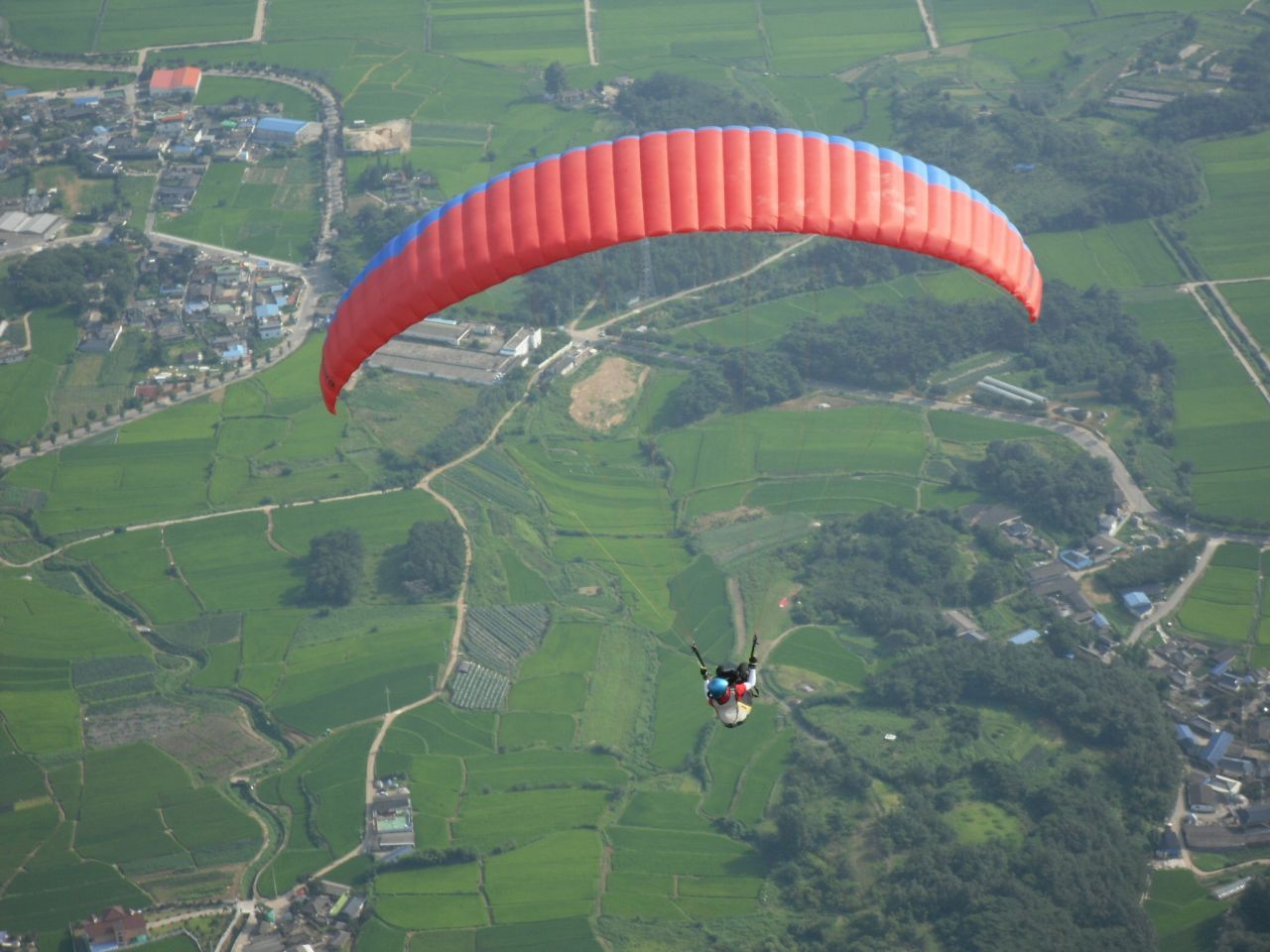SDC12145.JPG