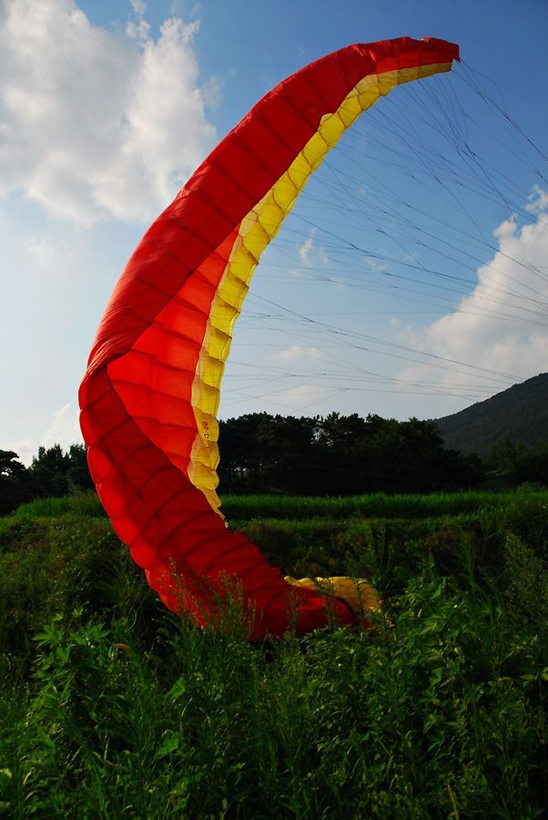D10_0283.jpg