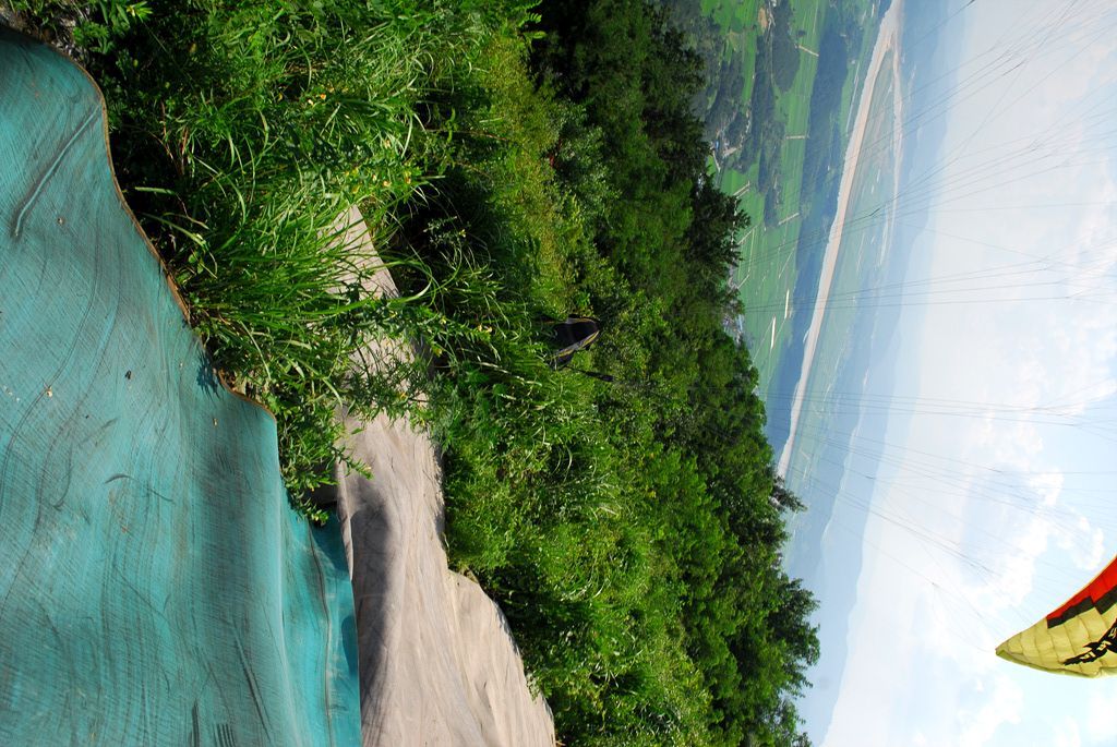 100808D10_0211para.jpg