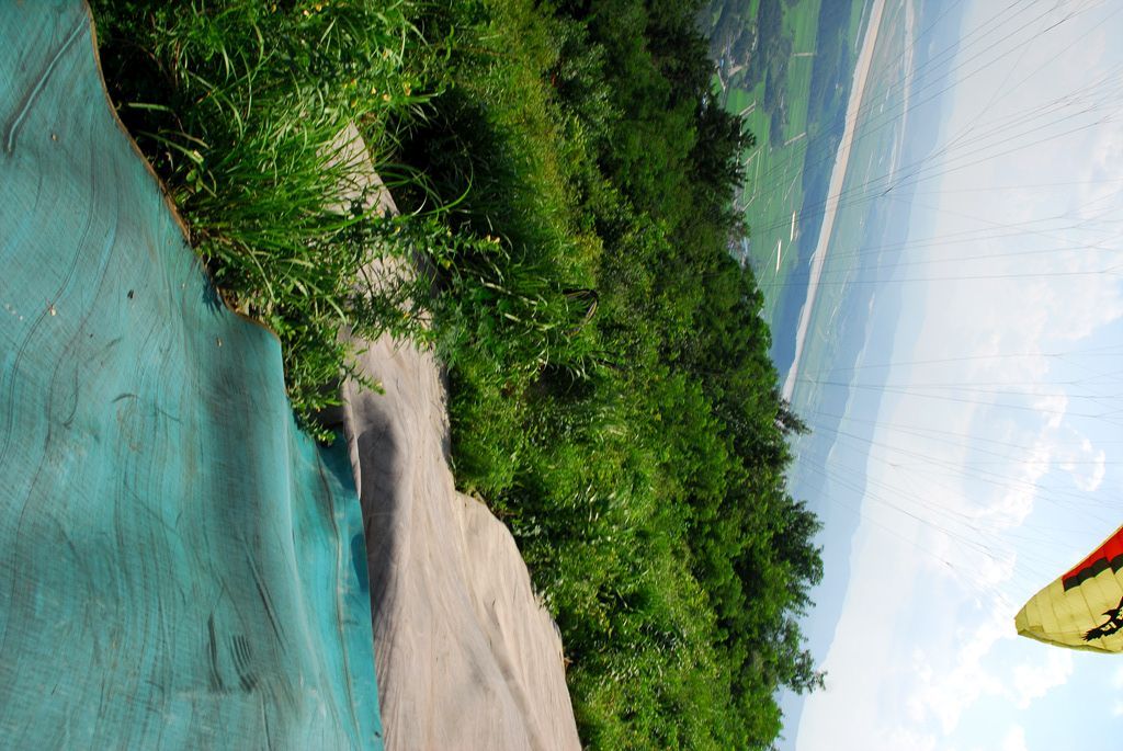 100808D10_0210para.jpg