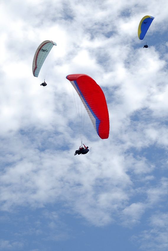 DSC_6954.jpg