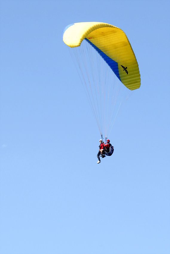 DSC_7091.jpg