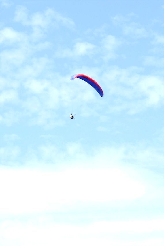 DSC_7019.jpg
