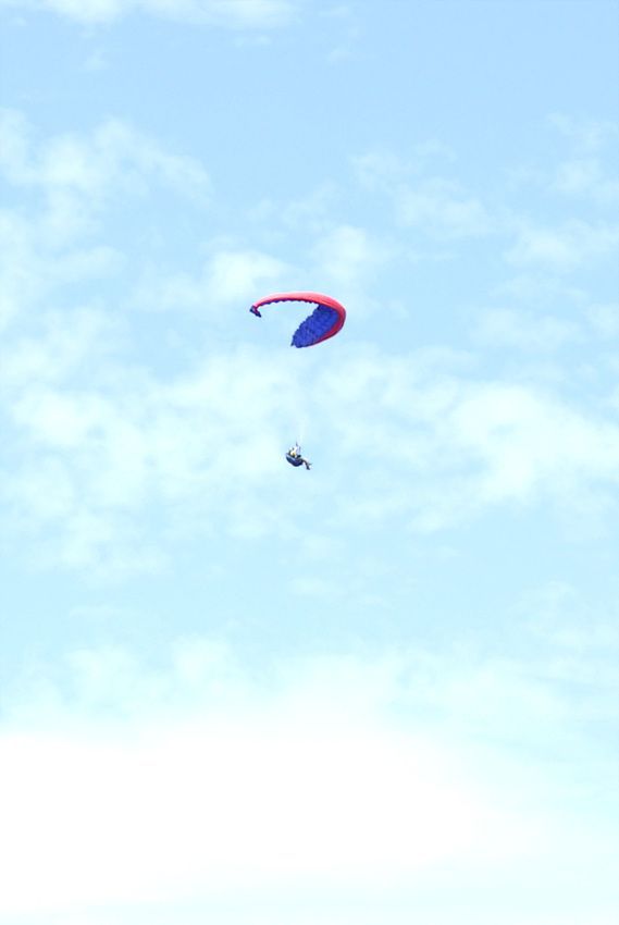 DSC_7017.jpg