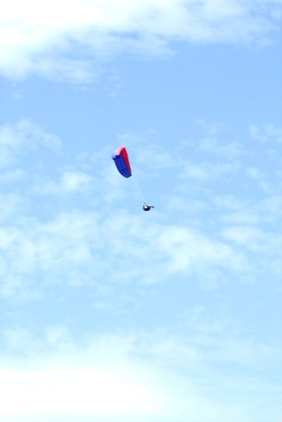 DSC_7016.jpg