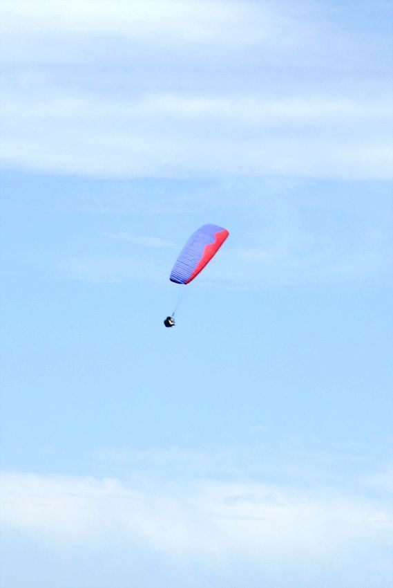 DSC_7025.jpg