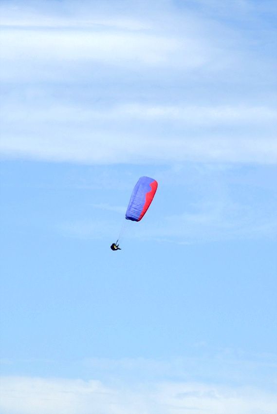 DSC_7024.jpg