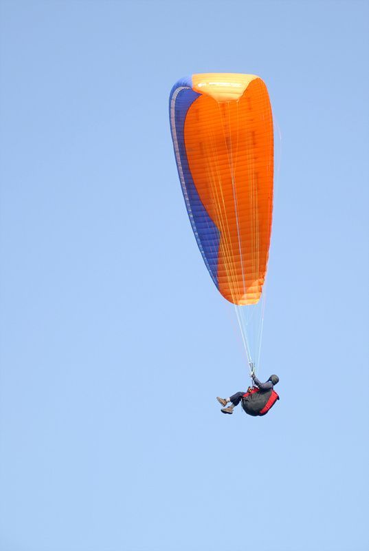 DSC_7299.jpg