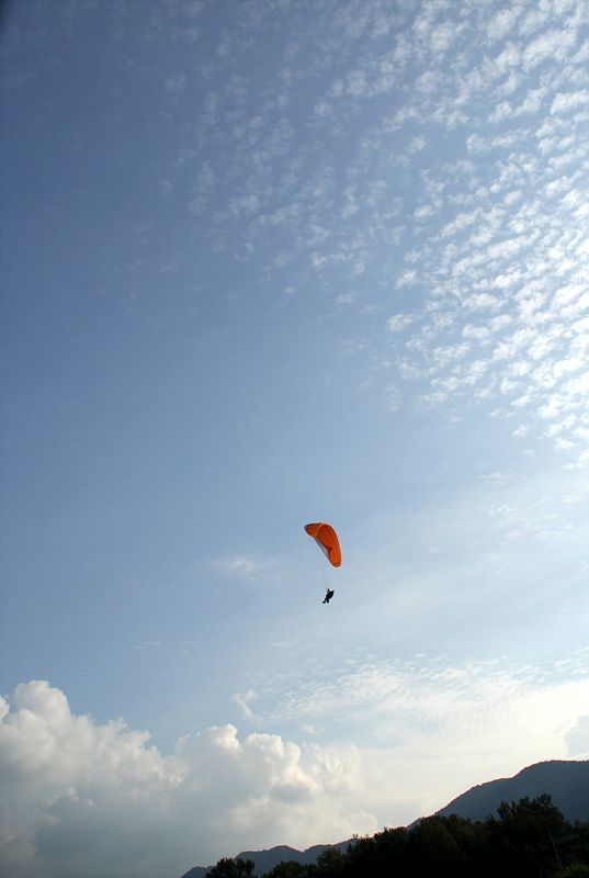 DSC_7776.jpg