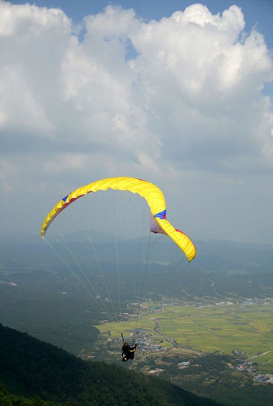 DSC_7690.jpg