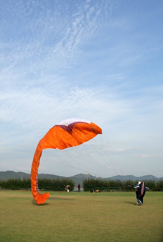 DSC_7786.jpg