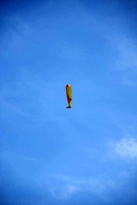 DSC_7799.jpg