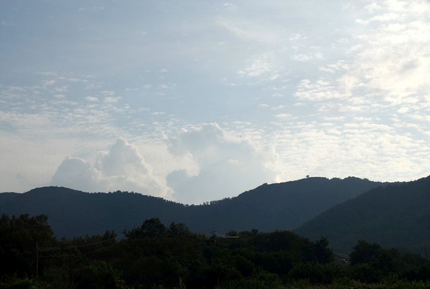 DSC_7760.jpg