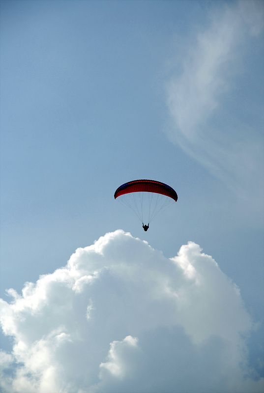 DSC_7706.jpg