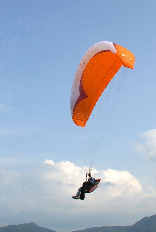 DSC_7783.jpg