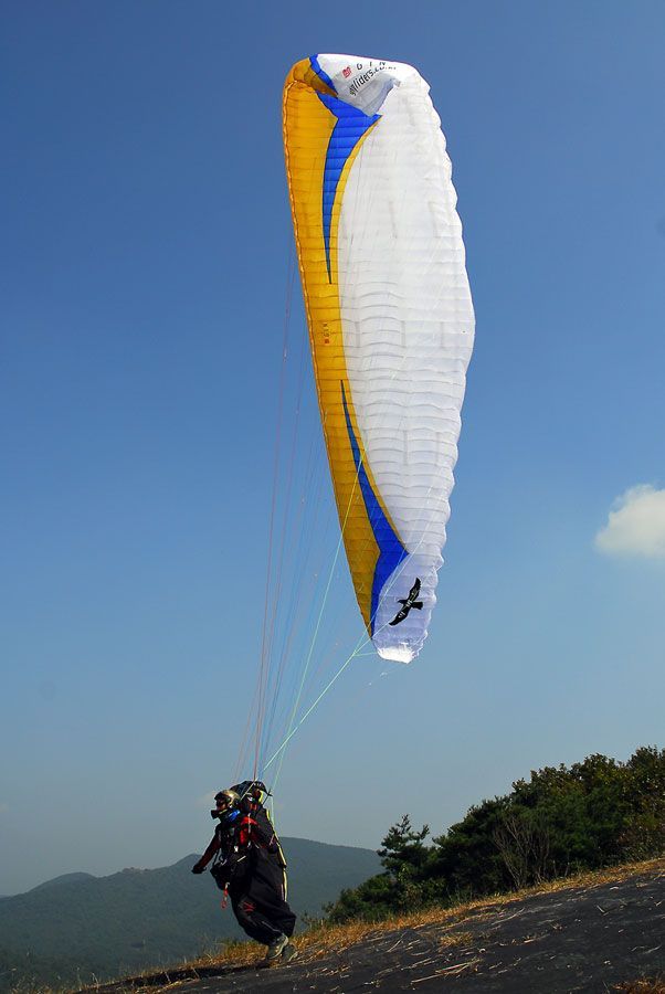 D10_0096.jpg