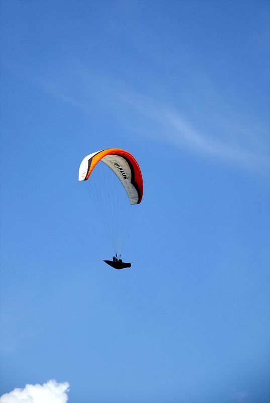 DSC_7696.jpg