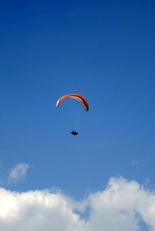 DSC_7687.jpg