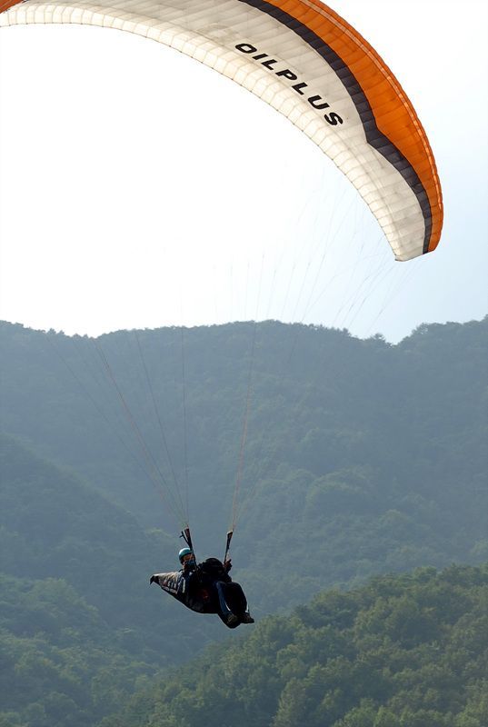 DSC_7732.jpg