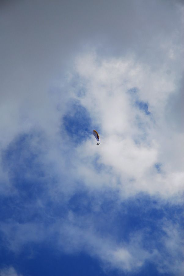 D10_0012.jpg