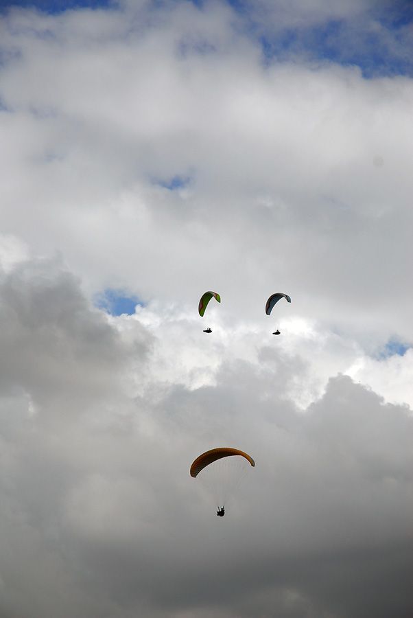 D10_0022.jpg