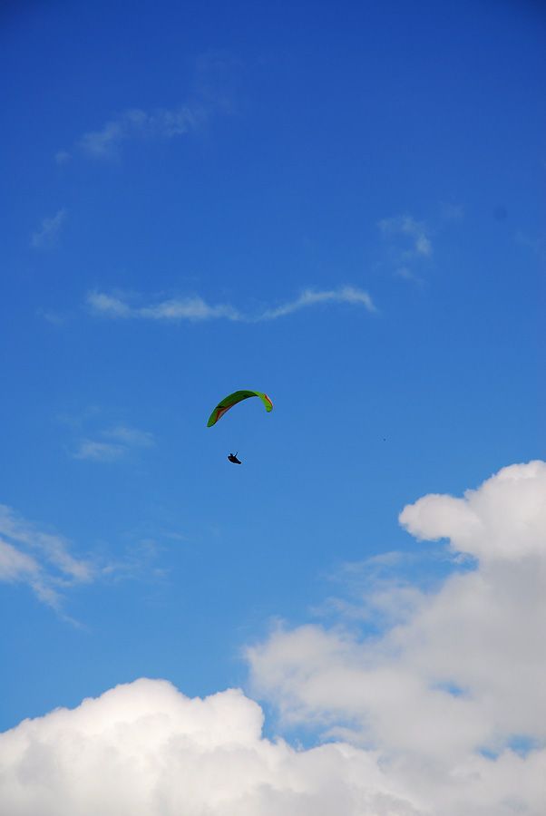 D10_0064.jpg