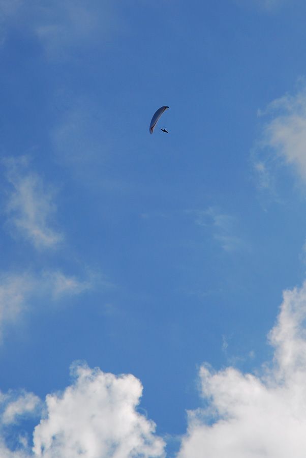 D10_0006.jpg