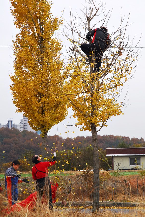 D10_0147.jpg