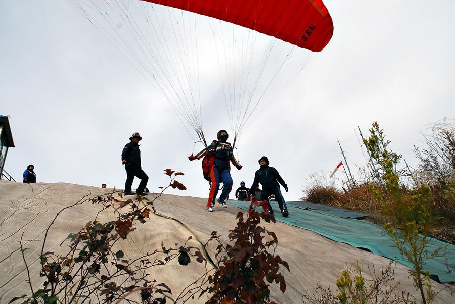 D10_0036.jpg