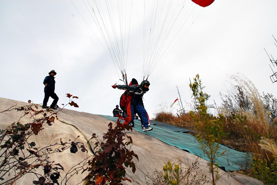 D10_0037.jpg