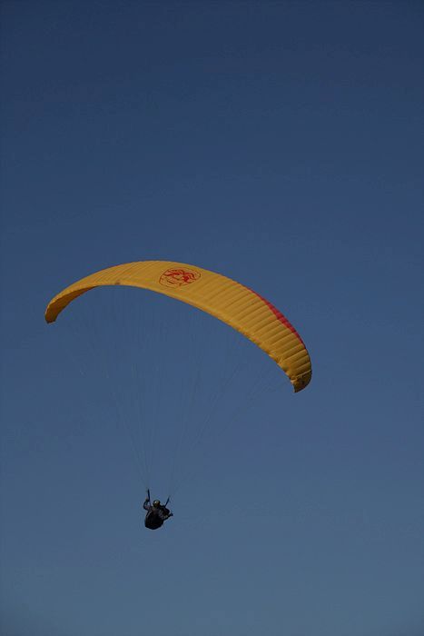 DSC_8239.jpg