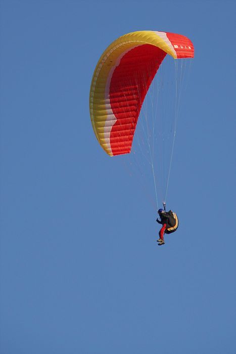 DSC_8309.jpg