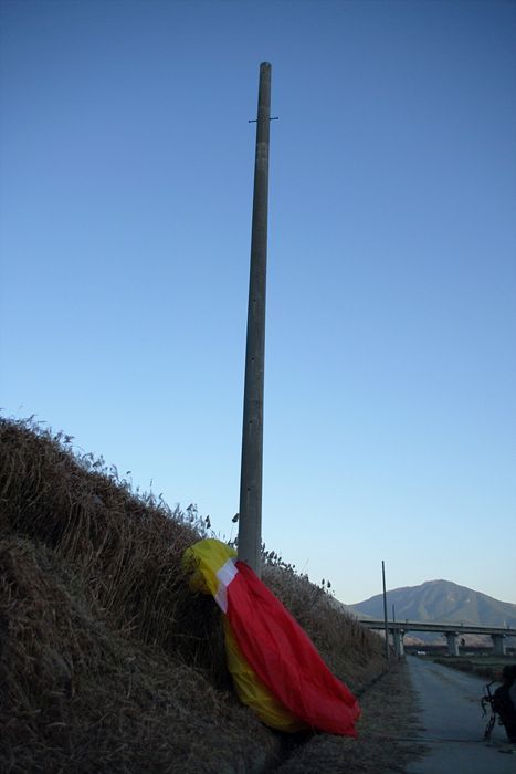 DSC_8312.jpg