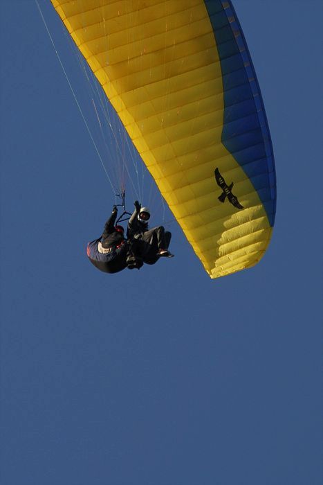 DSC_8307.jpg