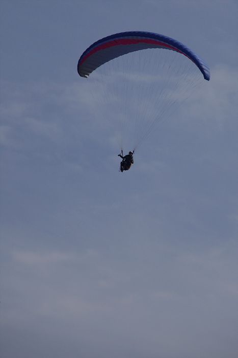 DSC_8347.jpg