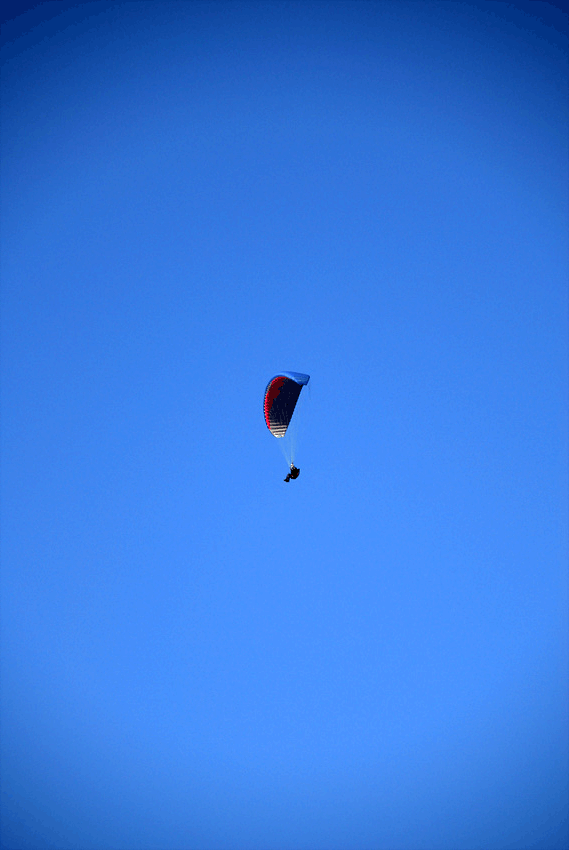 test1.gif