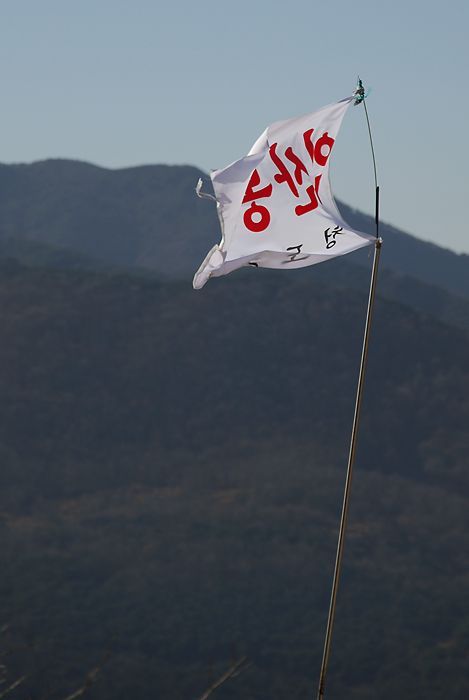 DSC_8523.jpg