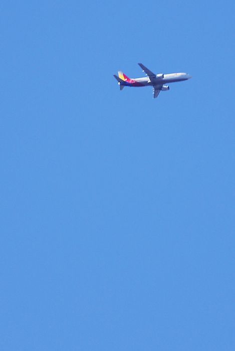 DSC_8502.jpg