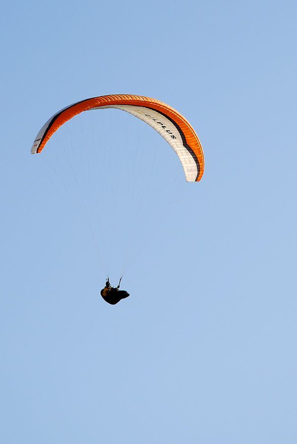 D10_0021.jpg