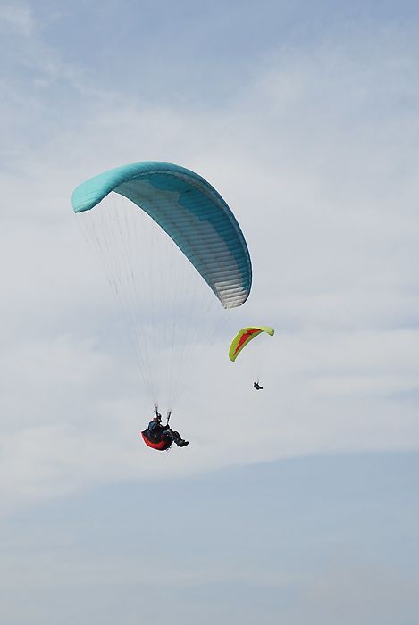 DSC_8581.jpg