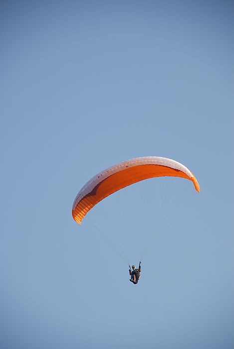 DSC_8610.jpg