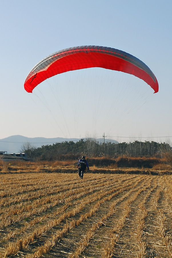 D10_0127.jpg