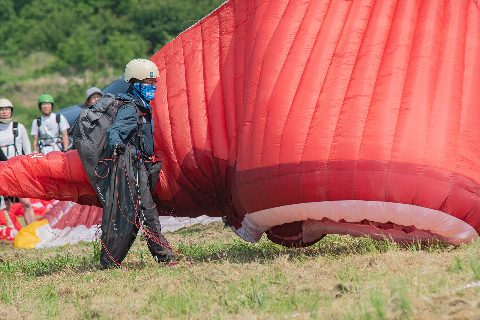DSC_3315-1.jpg