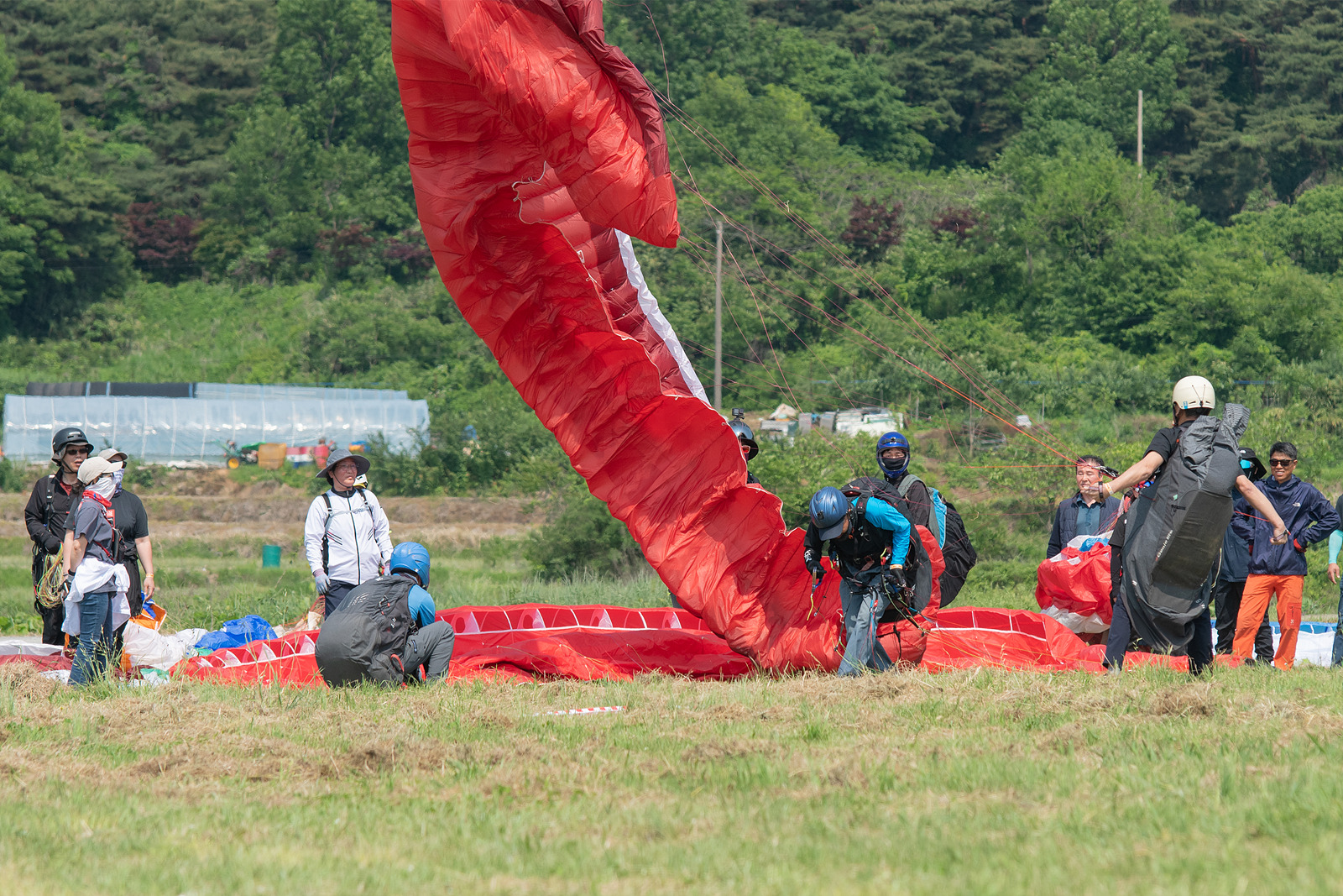 DSC_3272-1.jpg