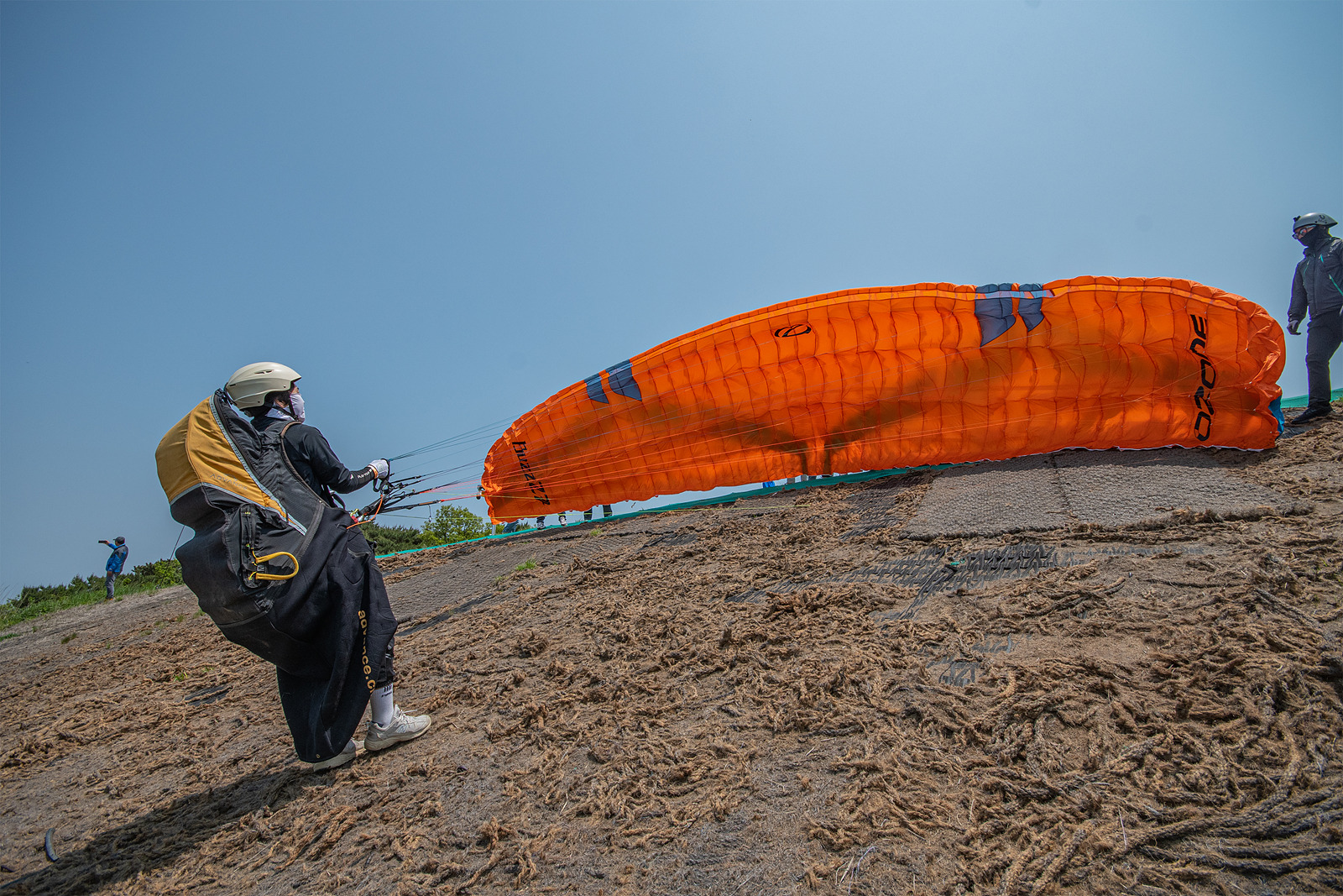 DSC_2793-1.jpg