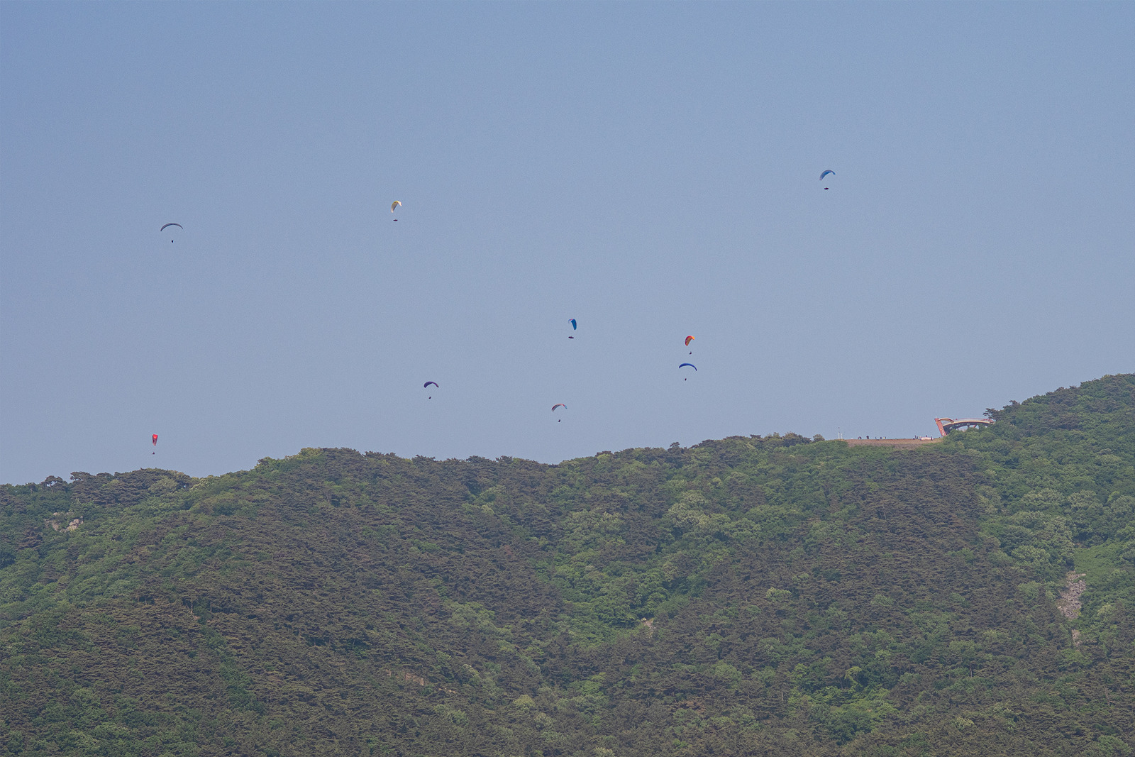 DSC_3371-1.jpg